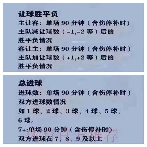 全面解析：世界杯买球官网全站指南